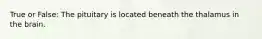 True or False: The pituitary is located beneath the thalamus in the brain.