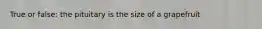 True or false: the pituitary is the size of a grapefruit