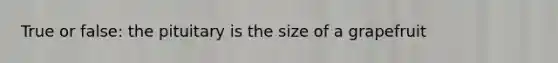 True or false: the pituitary is the size of a grapefruit