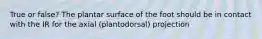 True or false? The plantar surface of the foot should be in contact with the IR for the axial (plantodorsal) projection