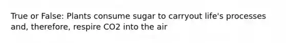 True or False: Plants consume sugar to carryout life's processes and, therefore, respire CO2 into the air