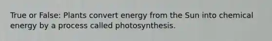 True or False: Plants convert energy from the Sun into chemical energy by a process called photosynthesis.