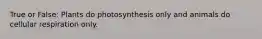 True or False: Plants do photosynthesis only and animals do cellular respiration only.