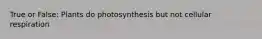 True or False: Plants do photosynthesis but not cellular respiration