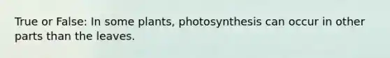 True or False: In some plants, photosynthesis can occur in other parts than the leaves.