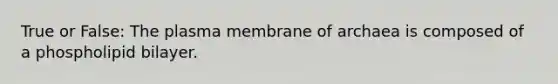 True or False: The plasma membrane of archaea is composed of a phospholipid bilayer.