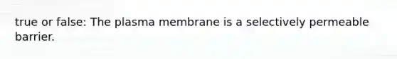 true or false: The plasma membrane is a selectively permeable barrier.