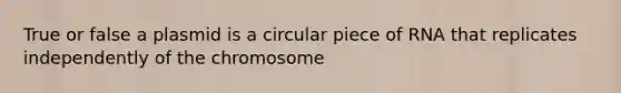 True or false a plasmid is a circular piece of RNA that replicates independently of the chromosome