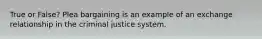 True or False? Plea bargaining is an example of an exchange relationship in the criminal justice system.