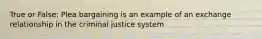 True or False: Plea bargaining is an example of an exchange relationship in the criminal justice system