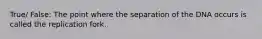 True/ False: The point where the separation of the DNA occurs is called the replication fork.