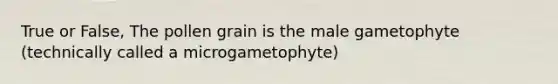 True or False, The pollen grain is the male gametophyte (technically called a microgametophyte)