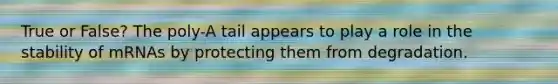 True or False? The poly-A tail appears to play a role in the stability of mRNAs by protecting them from degradation.