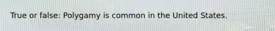 True or false: Polygamy is common in the United States.