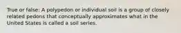 True or false: A polypedon or individual soil is a group of closely related pedons that conceptually approximates what in the United States is called a soil series.