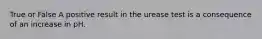 True or False A positive result in the urease test is a consequence of an increase in pH.
