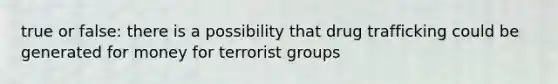 true or false: there is a possibility that drug trafficking could be generated for money for terrorist groups