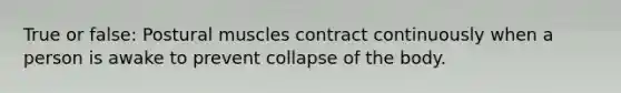 True or false: Postural muscles contract continuously when a person is awake to prevent collapse of the body.