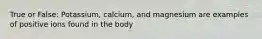 True or False: Potassium, calcium, and magnesium are examples of positive ions found in the body