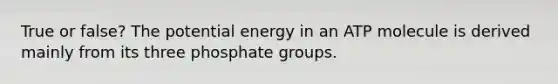 True or false? The potential energy in an ATP molecule is derived mainly from its three phosphate groups.