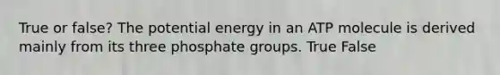 True or false? The potential energy in an ATP molecule is derived mainly from its three phosphate groups. True False