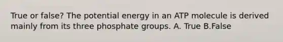 True or false? The potential energy in an ATP molecule is derived mainly from its three phosphate groups. A. True B.False