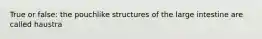 True or false: the pouchlike structures of the large intestine are called haustra