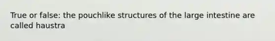 True or false: the pouchlike structures of the <a href='https://www.questionai.com/knowledge/kGQjby07OK-large-intestine' class='anchor-knowledge'>large intestine</a> are called haustra