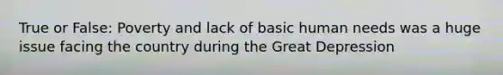 True or False: Poverty and lack of basic human needs was a huge issue facing the country during the Great Depression