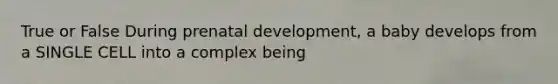 True or False During prenatal development, a baby develops from a SINGLE CELL into a complex being