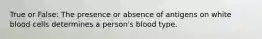 True or False: The presence or absence of antigens on white blood cells determines a person's blood type.