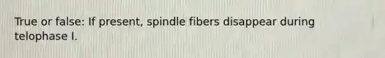 True or false: If present, spindle fibers disappear during telophase I.