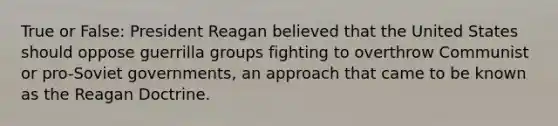 True or False: President Reagan believed that the United States should oppose guerrilla groups fighting to overthrow Communist or pro-Soviet governments, an approach that came to be known as the Reagan Doctrine.