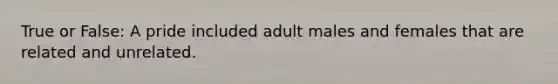 True or False: A pride included adult males and females that are related and unrelated.