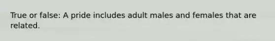 True or false: A pride includes adult males and females that are related.