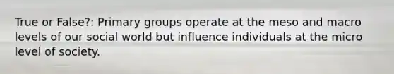 True or False?: Primary groups operate at the meso and macro levels of our social world but influence individuals at the micro level of society.