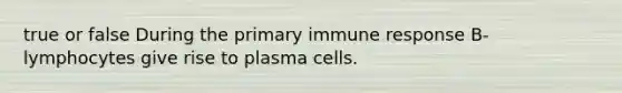 true or false During the primary immune response B-lymphocytes give rise to plasma cells.