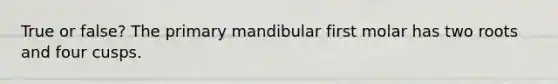 True or false? The primary mandibular first molar has two roots and four cusps.