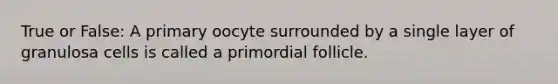 True or False: A primary oocyte surrounded by a single layer of granulosa cells is called a primordial follicle.