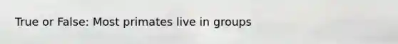 True or False: Most primates live in groups