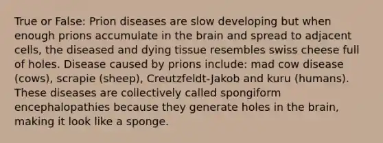 True or False: Prion diseases are slow developing but when enough prions accumulate in the brain and spread to adjacent cells, the diseased and dying tissue resembles swiss cheese full of holes. Disease caused by prions include: mad cow disease (cows), scrapie (sheep), Creutzfeldt-Jakob and kuru (humans). These diseases are collectively called spongiform encephalopathies because they generate holes in the brain, making it look like a sponge.