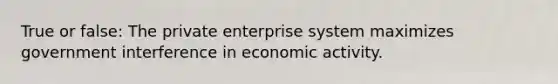 True or false: The private enterprise system maximizes government interference in economic activity.