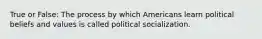 True or False: The process by which Americans learn political beliefs and values is called political socialization.