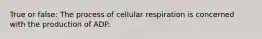 True or false: The process of cellular respiration is concerned with the production of ADP.