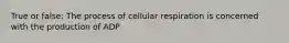 True or false: The process of cellular respiration is concerned with the production of ADP