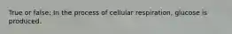 True or false: In the process of cellular respiration, glucose is produced.