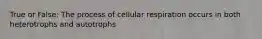 True or False: The process of cellular respiration occurs in both heterotrophs and autotrophs