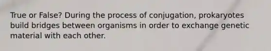 True or False? During the process of conjugation, prokaryotes build bridges between organisms in order to exchange genetic material with each other.