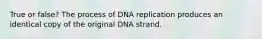 True or false? The process of DNA replication produces an identical copy of the original DNA strand.