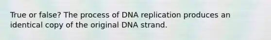 True or false? The process of DNA replication produces an identical copy of the original DNA strand.